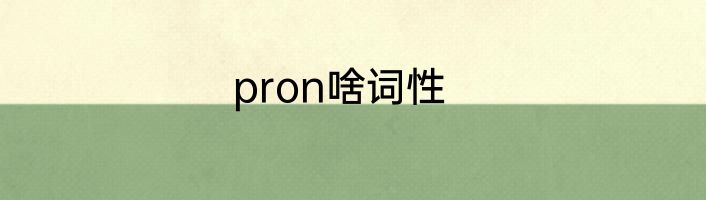 pron啥词性