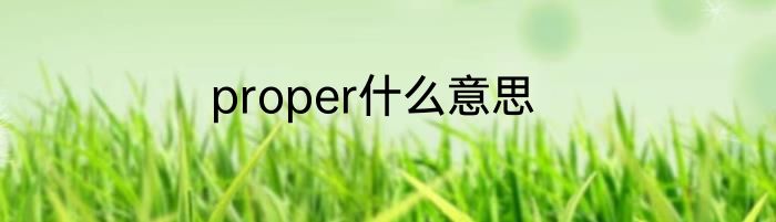 proper什么意思