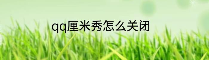qq厘米秀怎么关闭