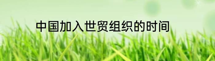 中国加入世贸组织的时间