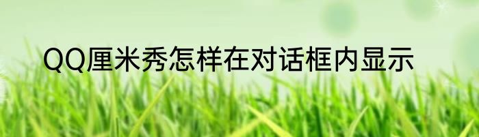 QQ厘米秀怎样在对话框内显示