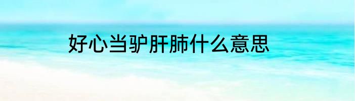好心当驴肝肺什么意思
