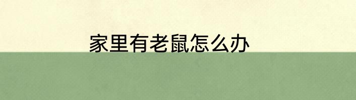 家里有老鼠怎么办