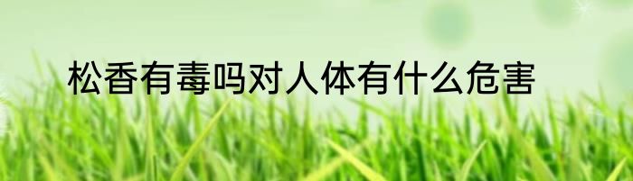 松香有毒吗对人体有什么危害
