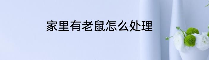 家里有老鼠怎么处理