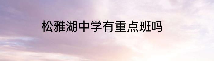 松雅湖中学有重点班吗