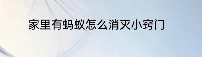 家里有蚂蚁怎么消灭小窍门