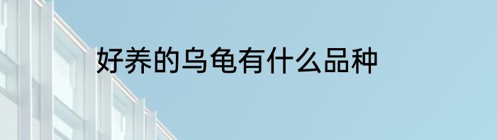 好养的乌龟有什么品种