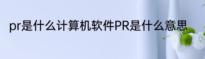 pr是什么计算机软件PR是什么意思