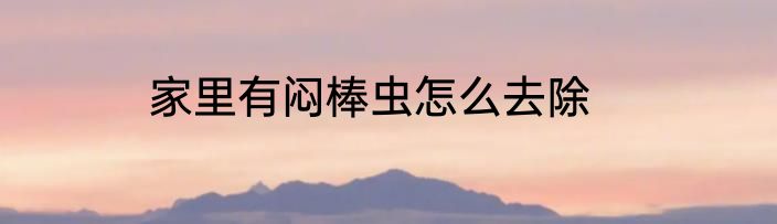 家里有闷棒虫怎么去除