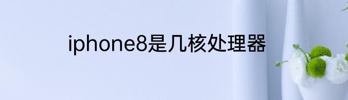 iphone8是几核处理器