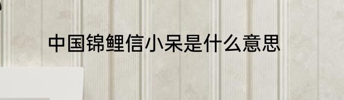 中国锦鲤信小呆是什么意思