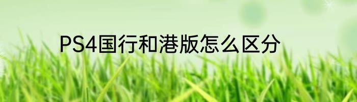 PS4国行和港版怎么区分