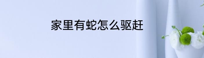 家里有蛇怎么驱赶