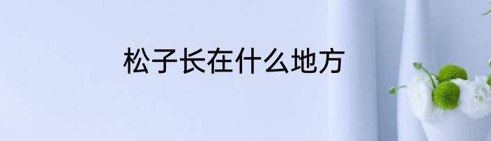 松子长在什么地方