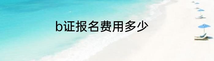 b证报名费用多少
