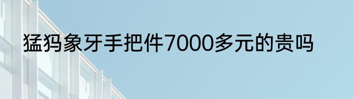 猛犸象牙手把件7000多元的贵吗