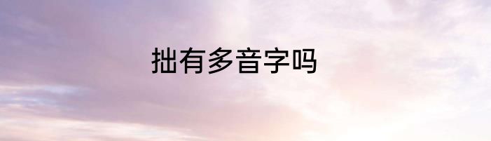 拙有多音字吗