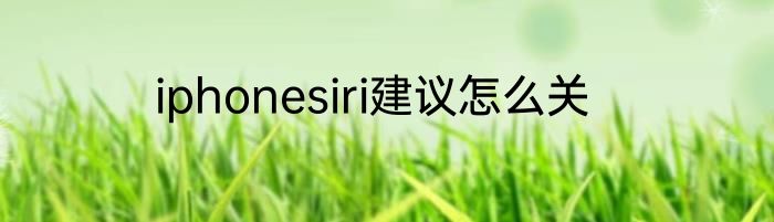 iphonesiri建议怎么关