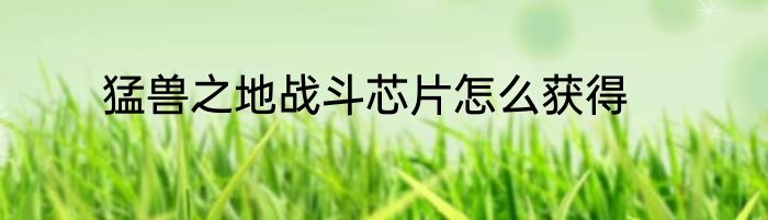 猛兽之地战斗芯片怎么获得