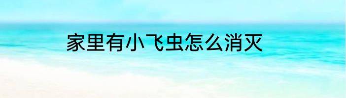 家里有小飞虫怎么消灭