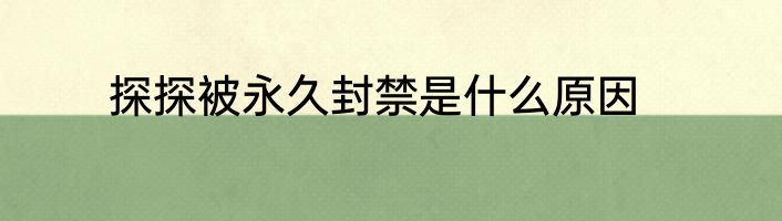 探探被永久封禁是什么原因