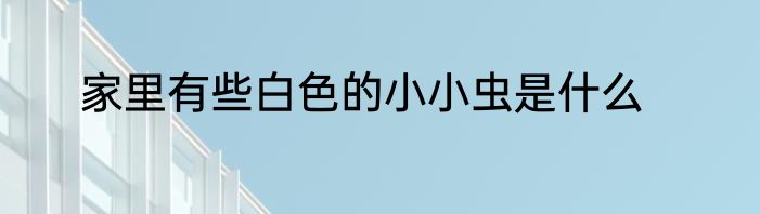家里有些白色的小小虫是什么