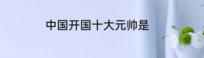 中国开国十大元帅是
