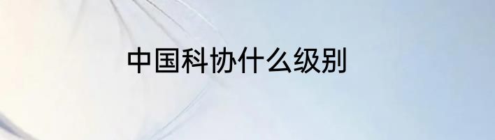 中国科协什么级别