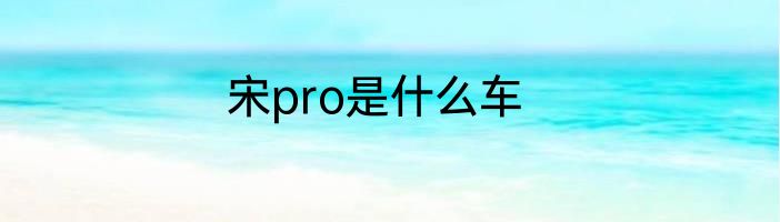 宋pro是什么车