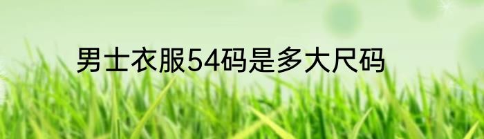 男士衣服54码是多大尺码