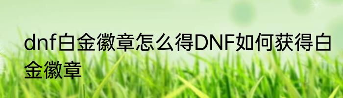dnf白金徽章怎么得DNF如何获得白金徽章