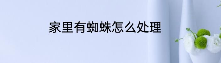家里有蜘蛛怎么处理