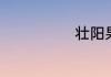 壮阳果怎样泡酒