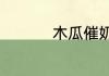 木瓜催奶汤的做法大全