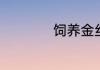 饲养金丝熊正确方法