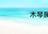 木琴属于什么乐器