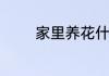 家里养花什么花最旺财聚财