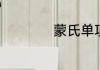 蒙氏单项式组合教案