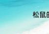 松鼠的生活习性