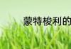 蒙特梭利的教育理念是什么