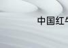 中国红牛哪个是真的