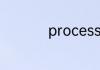 process什么意思中文