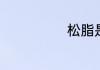 松脂是什么东西