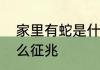 家里有蛇是什么征兆家里出现蛇是什么征兆