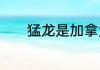猛龙是加拿大的为什么在nba