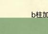 b柱加强筋是什么