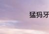 猛犸牙怎么分真假
