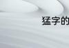 猛字的组词是什么