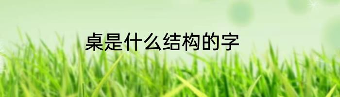 桌是什么结构的字